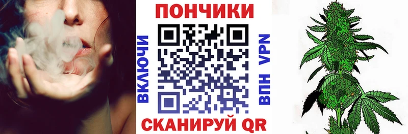 Шишки марихуана сатива  Мариинск 